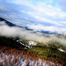 Foto: morten pedersen.