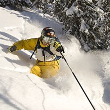 Pose a&acute;la stoppsladd. Foto: Jesper Molin. &Aring;kare: Henrik Utter.