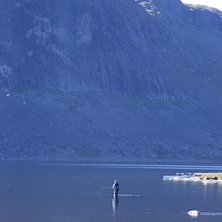 Flugfiske i skuvggan av Kebne.... Foto: P&auml;rra C. &Aring;kare: Bj&ouml;rn.