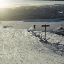 En fin bild med ett hopp &ouml;ver staketet... Foto: Pernilla K. &Aring;kare: Robert A.