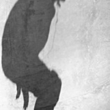 Bowlen i actionparken. Foto: Jorge Lattof. &Aring;kare: David.