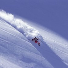 Or&ouml;rt, or&ouml;rt, or&ouml;rt.... Foto: Jesper Molin (www.jesperphoto.com). &Aring;kare: Johan Carlborg.