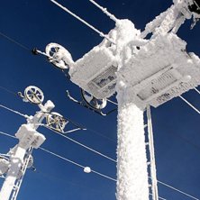 Vackert ha?. Foto: Sofie Nordlund.