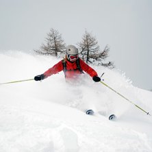 Foto: Johan Sk&ouml;ld. &Aring;kare: Sofia Sk&ouml;ld.