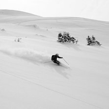 Tokigt fin sn&ouml;.. Foto: Fredrik Gertzell. &Aring;kare: Christoffer Schack.
