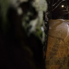 Foto: Linkan. &Aring;kare: Alexander Bredal.