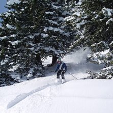 Tar ett &aring;k genom granarna.. Foto: Patrik Dahlgren. &Aring;kare: Axel arvidsson.