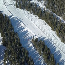 Dr&ouml;narbild med skogen till v&auml;nster. Foto: skiBran&auml;s.