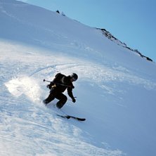 Foto: Sofia Sk&ouml;ld. &Aring;kare: Johan Sk&ouml;ld.