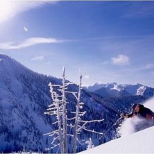 Foto: Rikard Andersson. &Aring;kare: Dave Hawrys.