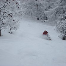 dr&ouml;mskogen mot vallorcine. Foto: Albert J. &Aring;kare: Jag.