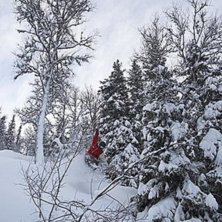 Foto: Ola Granli. &Aring;kare: Lars Norin.