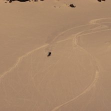 Foto: Peter Ed&eacute;n. &Aring;kare: Andr&eacute; R&ouml;nnlund.