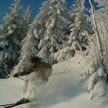 PUDER.... Foto: Bj&ouml;rn Daniels. &Aring;kare: Jon H&ouml;st- mig.