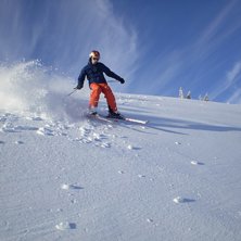 Bredbent, men, men. Foto: Elin Gustavsson. &Aring;kare: Oscar Gustavsson.