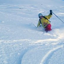 P&aring; tur med Felix o Felix. Foto: Felix Oppenheim. &Aring;kare: Magnus Brandt.