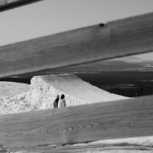 Maj 2010. Foto: Filip &Auml;lfv&aring;g http://filipalfvag.com. &Aring;kare: Linus Tornberg.