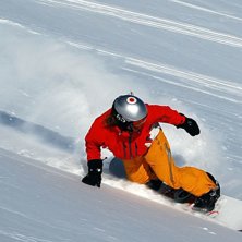 T&aring;sk&auml;rscarving. Foto: Johan Weimer. &Aring;kare: Johanna Gardestr&ouml;m.