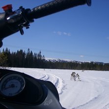 fr&auml;sch utsikt p&aring; gustavbacken med mera i lindva. Foto: H.