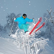 Shreddar en buske vid v&auml;ggen. Foto: Martin Jakobs. &Aring;kare: Calle Gundersen.