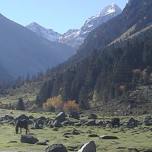 P&aring;v&auml;g mot Lac d&amp;#039;estom i ett sagolikt la. Foto: Ville Berg - Malmborg.