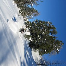 Solig dag i puderskogen i Sportgastein. Foto: Christoffer Schack. &Aring;kare: Simon Petersson.