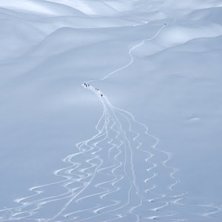 Heliskiing Uzbekistan
. Foto: Tomasz Kaminski.