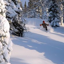 Puder i Borga som vanligt.. Foto: P&auml;r Lindholm. &Aring;kare: Johan Danielsson.