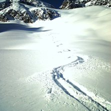 Foto: Manfred Kolb. &Aring;kare: Manfred Kolb.