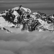najs vy, kolla birdsen. Foto: Tobias Kajbring.