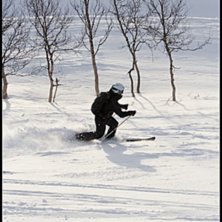 N&aring;gra h&auml;rliga sv&auml;ngar innan det var dags att f�. Foto: Johan Karlsson. &Aring;kare: Frida Nordin.