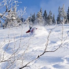 hittade en or&ouml;rd spot med sjyst lutning en solig . Foto: Nicklas Lind. &Aring;kare: Oskar Lind.