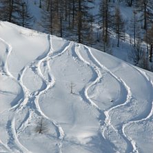 Puder hets i Cham!. Foto: Anders Ekberg.