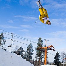 Foto: Andreas Timf&auml;lt / SwedenProPhoto.