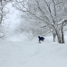 Foto: Christer H&auml;llare. &Aring;kare: Mario Marinkovic.