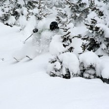 Underbara dagar bland granar i verbier. Viktor lad. Foto: Johan Larson. &Aring;kare: Viktor H&auml;ggander.