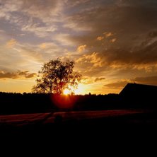 Tog en fin naturbild i Lunger.. Foto: Tommy Ljung.