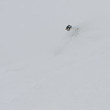 Dagen n&auml;r vi kunde ha beh&ouml;vt snorkel! Helt sjukt. Foto: David Merritt. &Aring;kare: Jonas Emilsson.