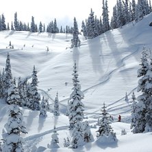 Foto: Jonas Andersson.