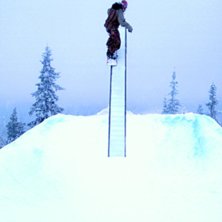 &ouml;h. Foto: erika hansson. &Aring;kare: hilla.