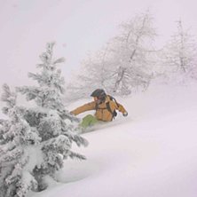 Underbar flatljus&aring;kning efter sn&ouml;fall...leker si. Foto: Victor Apelgren. &Aring;kare: Per Lind.