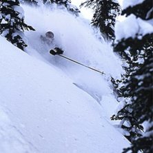 Tva dagar efter 2 meter sno pa tre dagar...tjena! . Foto: Jordan Manley. &Aring;kare: Theodore Birkner.