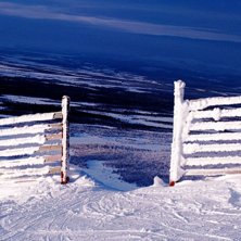 Vy fr&aring;n &auml;lskade hemmabacken :). Foto: Agneta Emmoth.