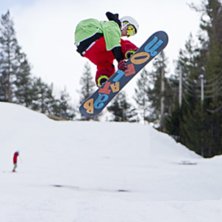 Foto: Sven Bj&ouml;rkland, V&auml;sterbottens-Kuriren. &Aring;kare: Elias Isaksson.