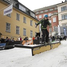 Winter Show i Kungstr&auml;dg&aring;rden 2014.. Foto: Hedda Berander.