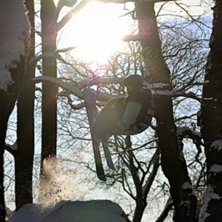 Backyard Dreamday. Foto: Theres&eacute; Karlsson.