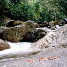Foto: Jonas Backstr&ouml;m.