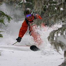 Skogs&aring;kning i Nordamerika. En fotodag som b&ouml;rjad. Foto: Alexander Ovinder. &Aring;kare: Fredrik Trella.