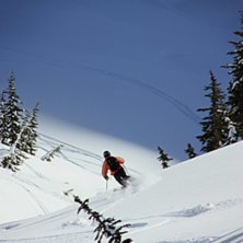 Foto: Stefan Wallgren. &Aring;kare: Jesper H&ouml;glander.
