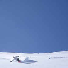 Foto: H&aring;kan Cervin. &Aring;kare: Niklas.